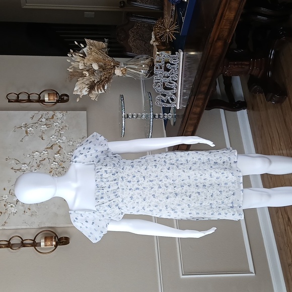 Free People Women's Sugar And Spice Milkmaid Mini Blue Floral Dress. Size L - Picture 5 of 17